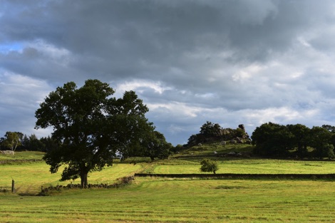 View of Robin Hood's Stride